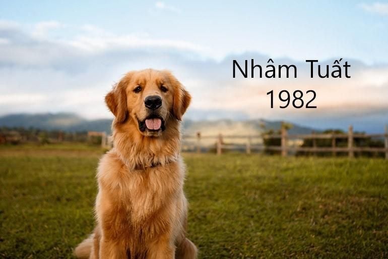 Tuổi Nhâm Tuất 1982 hợp hướng nào? Cách lựa chọn hướng nhà phù hợp